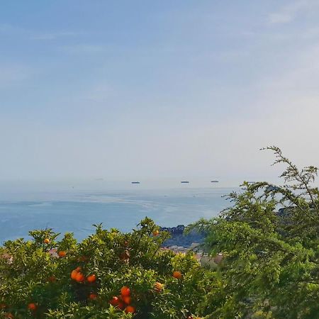 Ai Canarbin - colline di Lerici Esterno foto