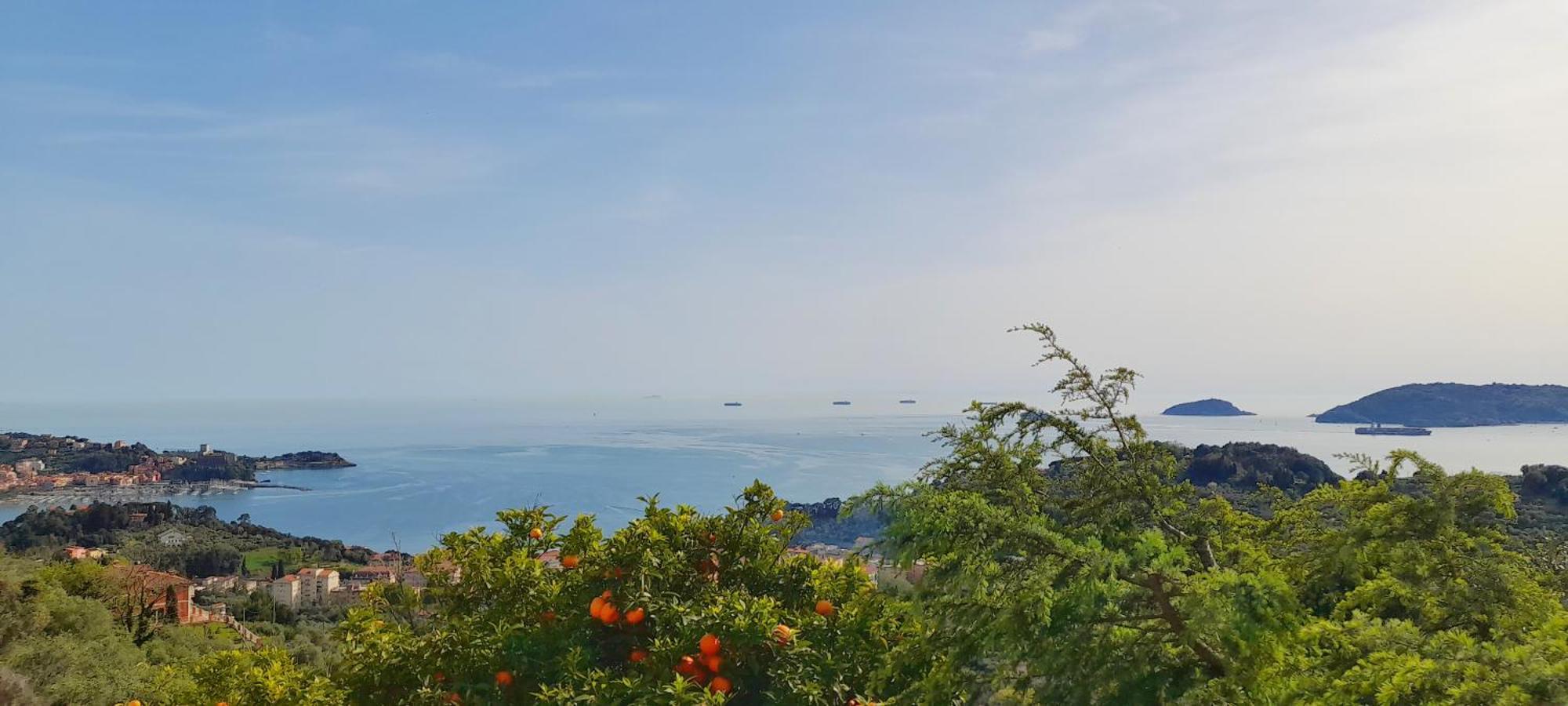 Ai Canarbin - colline di Lerici Esterno foto